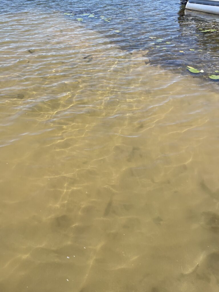 lake bottom with fresh sand spread evenly to 6" depth. This will compress and mitigate muck for decades to come.