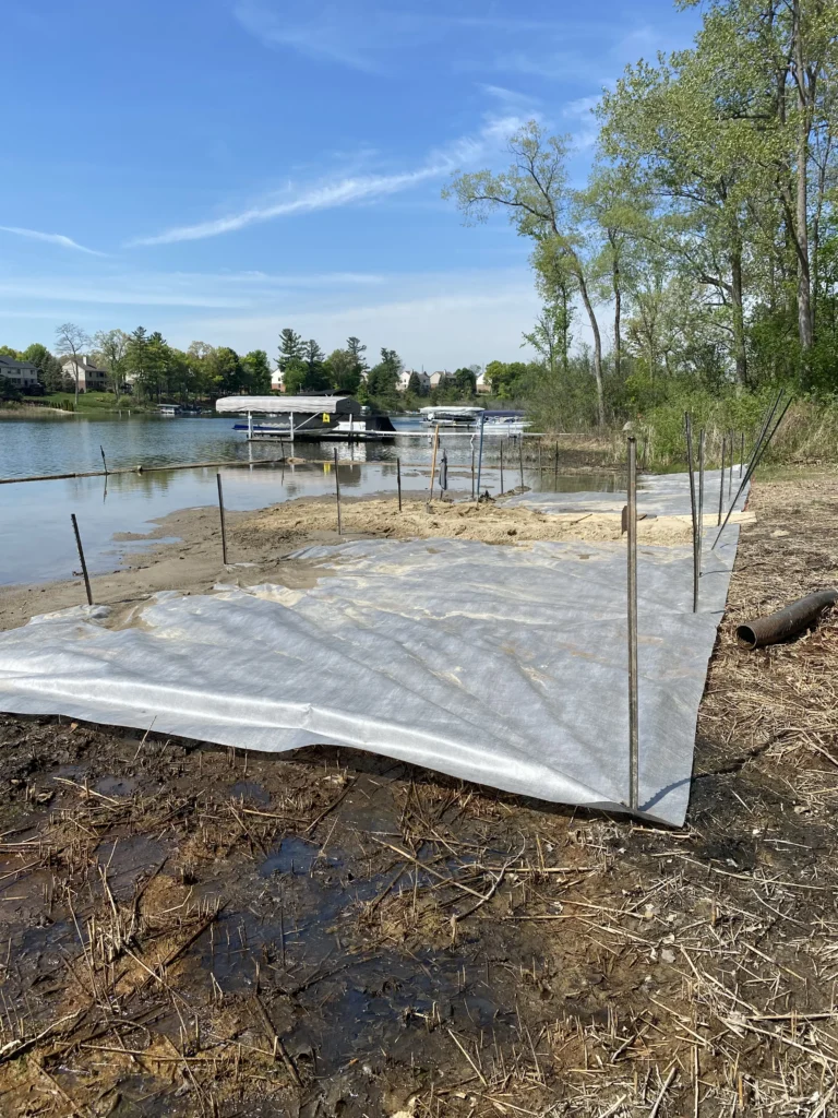 layout out fabric for beach install, using fence posts as stakes to hold it in place for beach sanding.